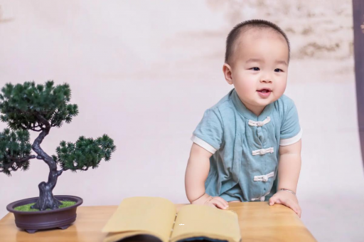 赵县可爱的企鹅宝宝
